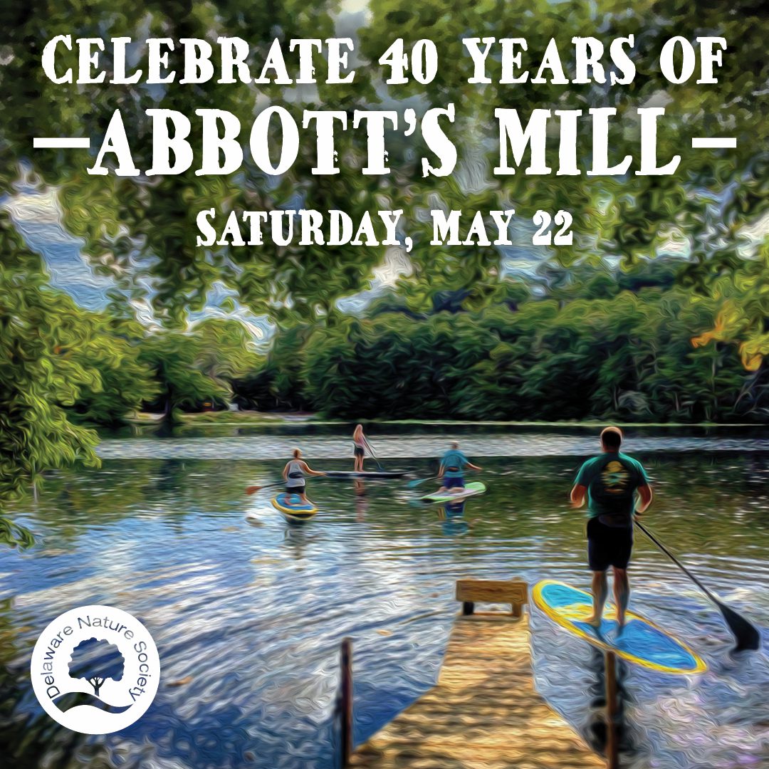 Abbott's Mill Nature Center's 40th Anniversary - Facebook Ad