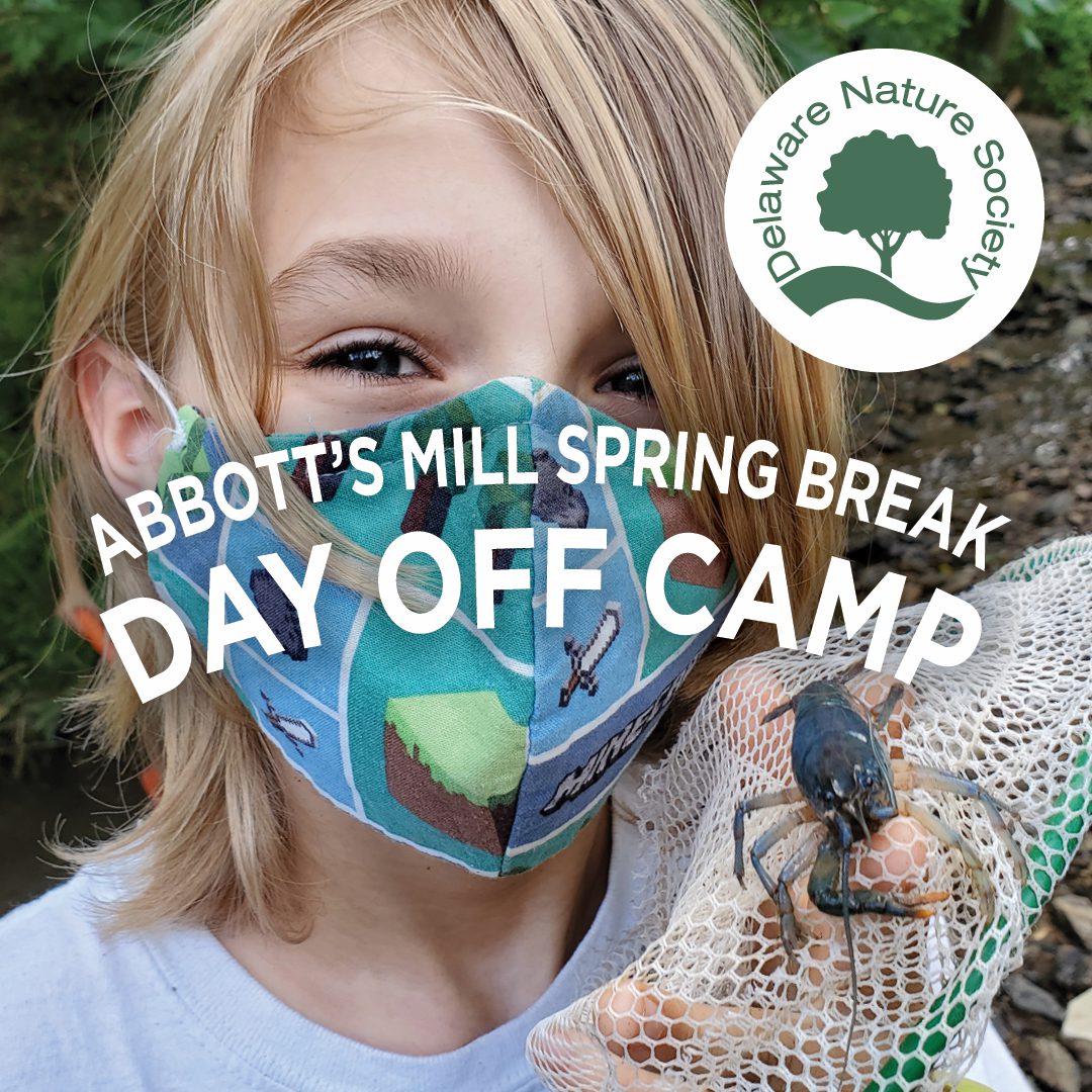 Spring Break Facebook Ad
