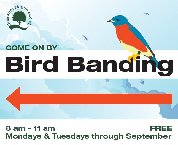Bird Banding Directional Sign