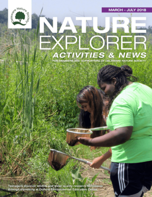 Nature Explorer Activites and News