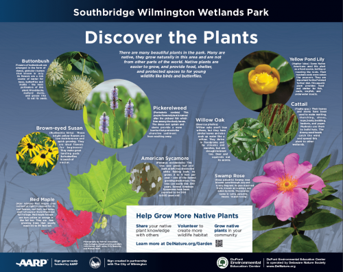 Wetland Park Info Panel