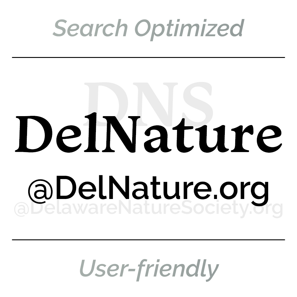 DelNature to DNS Acronym Change for SEO, UX