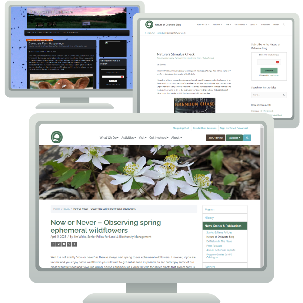 Leadership Case Studies: DelNature Blog Redesign and Import