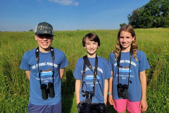 Young birders The Flying Penguins