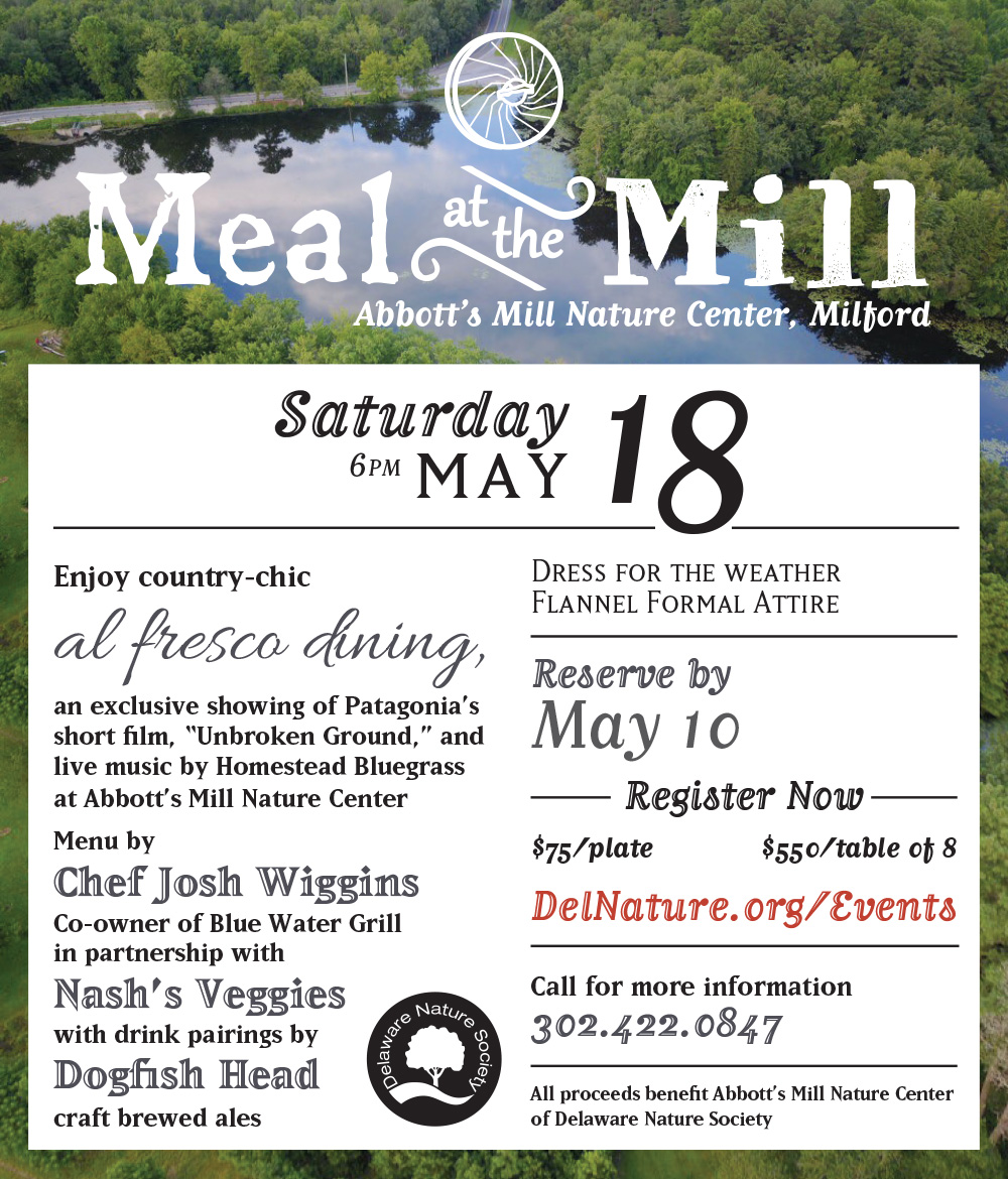 Magazine Ad - Fundraising Event