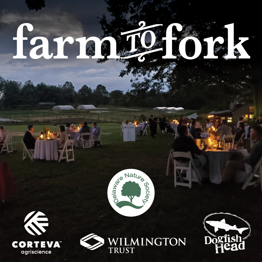 Social Media Ad - Fundraising Event
