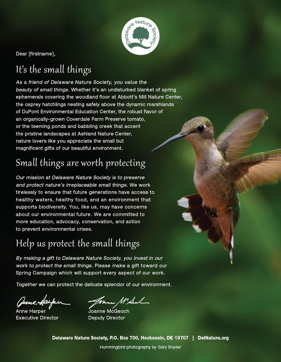 Spring Appeal for Nonprofit